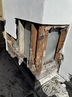 rotted wood