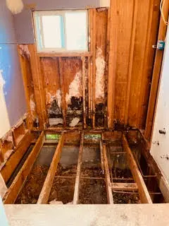 rotted wood